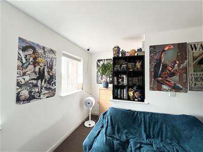 Picture 9